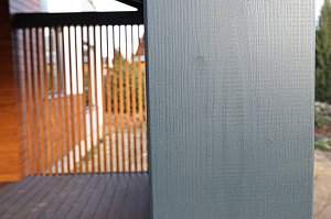 Покраска планкена