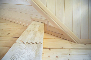 сосна ангарская на потолок