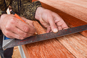 Кемпас — дерево, которое не боится ничего: экзотика с характером на вашей террасе