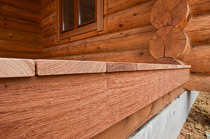 Кемпас — дерево, которое не боится ничего: экзотика с характером на вашей террасе