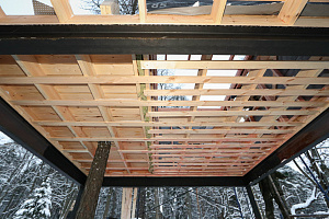 Уникальные всесезонные домики на дереве в LESO Парке