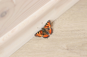 Элитная внутренняя отделка 