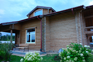 некрашеное бревно