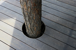 Уникальные всесезонные домики на дереве в LESO Парке