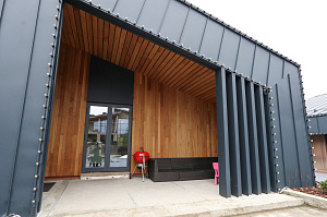 Идеальное решение для нашего климата: термоясень, не боящийся влаги и перепадов температур