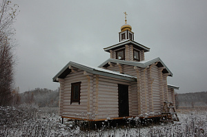 покраска фасада бревенчатого домапокраска фасада