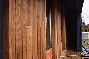 Идеальное решение для нашего климата: термоясень, не боящийся влаги и перепадов температур