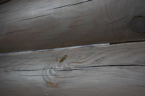 швы между бревнами