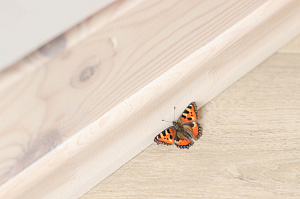 Элитная внутренняя отделка 