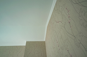 оштукотуривание потолков