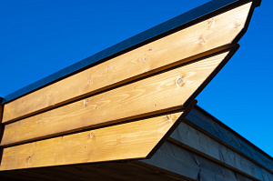 декоративные элементы на крыше