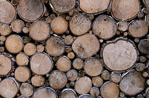 дом из дерева