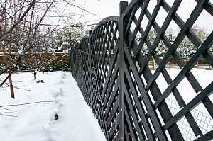 шпалеры крашенные маслом