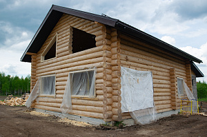 сруб из сосны