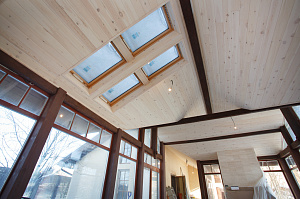 вагонка кедровая