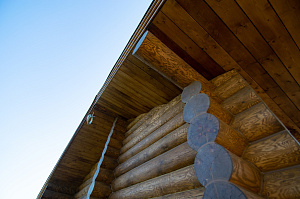 окрашивание дерева