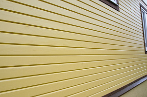 крашеный фасад vinha