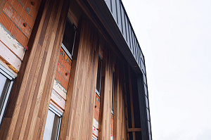 Идеальное решение для нашего климата: термоясень, не боящийся влаги и перепадов температур