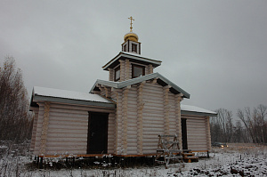 бревенчатый дом под покраску