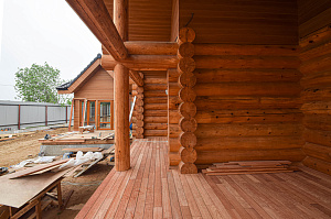 Кемпас — дерево, которое не боится ничего: экзотика с характером на вашей террасе