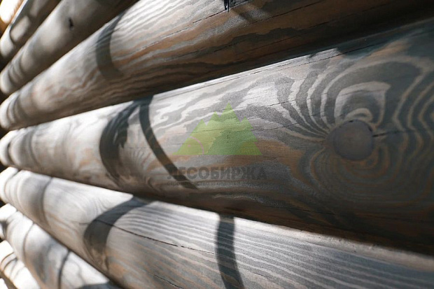 Хватит мучить фасад: масла BIOFA и 5 шагов к идеальному дереву!