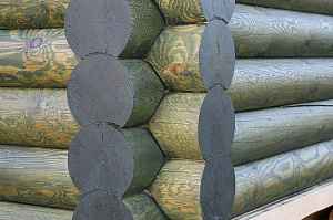 Баня мечты в Бобровом: комплексная отделка и покраска сруба