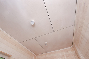 Гостевой дом в Янино: Идеальное слияние с лесным ландшафтом