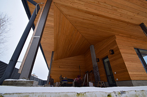 планкен покрашенный 1