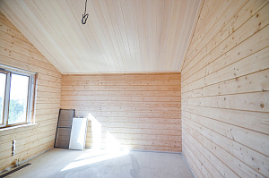 белая ангарская сосна