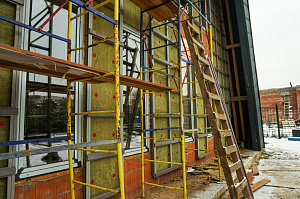 термодерево для фасада дома 1