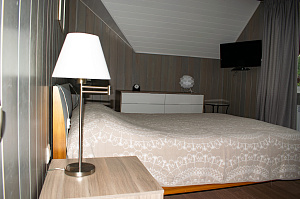 вагонка крашеная