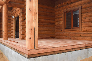 Кемпас — дерево, которое не боится ничего: экзотика с характером на вашей террасе