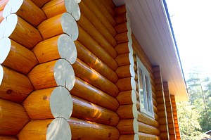 цвета фотов фото