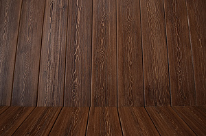 ангарская сосна в сорте вс 1