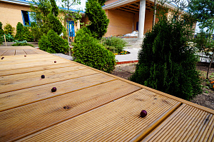 лиственница терраса вельвет