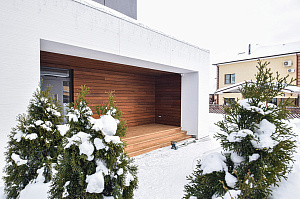 сосновые доски купить