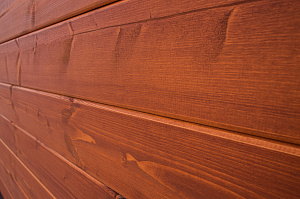 планкен сосновый