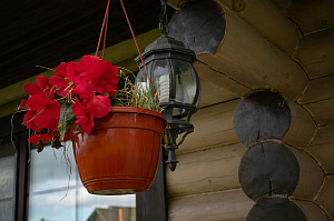 бревенчатый дом