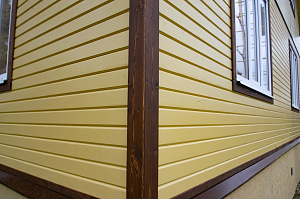 крашеный фасад vinha 3