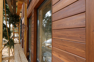 Петергоффские аллеи требуют статуса: как термолиственница преобразила каркасный дом в элитном посёлке