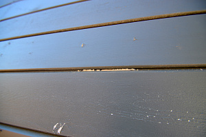 ЛесоБиржа исправляет чужие ошибки