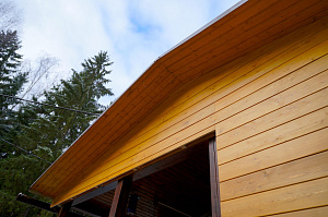 планкен покрашенный в молярном цехе лесобиржа