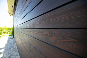 сосна под маслом