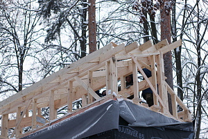 Уникальные всесезонные домики на дереве в LESO Парке