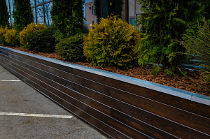 крашеный планкен прима