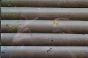 реставрационные работы