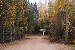 От разрушения к идеалу: как мы восстановили дом из профилированного бруса, создав вентилируемый фасад с защитой от влаги и гниения