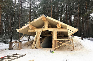 Планкен крашенный