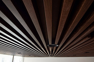 Потолок, о котором говорят: трендовое решение для статусного офиса