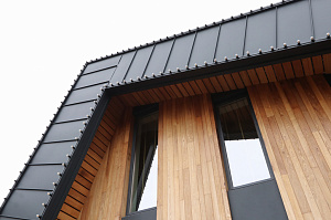 Идеальное решение для нашего климата: термоясень, не боящийся влаги и перепадов температур